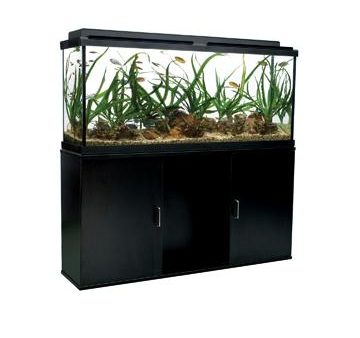 Meuble pour aquarium équipé (55), 208 L (55 gal US), noir on Sale