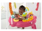 FISHER-PRICE Jumperoo Pink Petals: There’s so much for baby to discover with sweet animal friends on this Jumperoo® — music, lights and exciting sounds reward baby with every jump - DJC81 For Discount