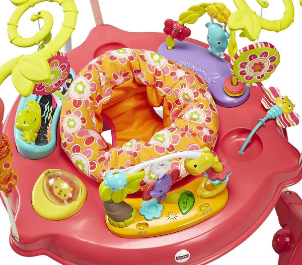 FISHER-PRICE Jumperoo Pink Petals: There’s so much for baby to discover with sweet animal friends on this Jumperoo® — music, lights and exciting sounds reward baby with every jump - DJC81 For Discount