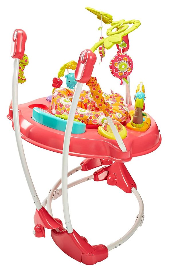 FISHER-PRICE Jumperoo Pink Petals: There’s so much for baby to discover with sweet animal friends on this Jumperoo® — music, lights and exciting sounds reward baby with every jump - DJC81 For Discount